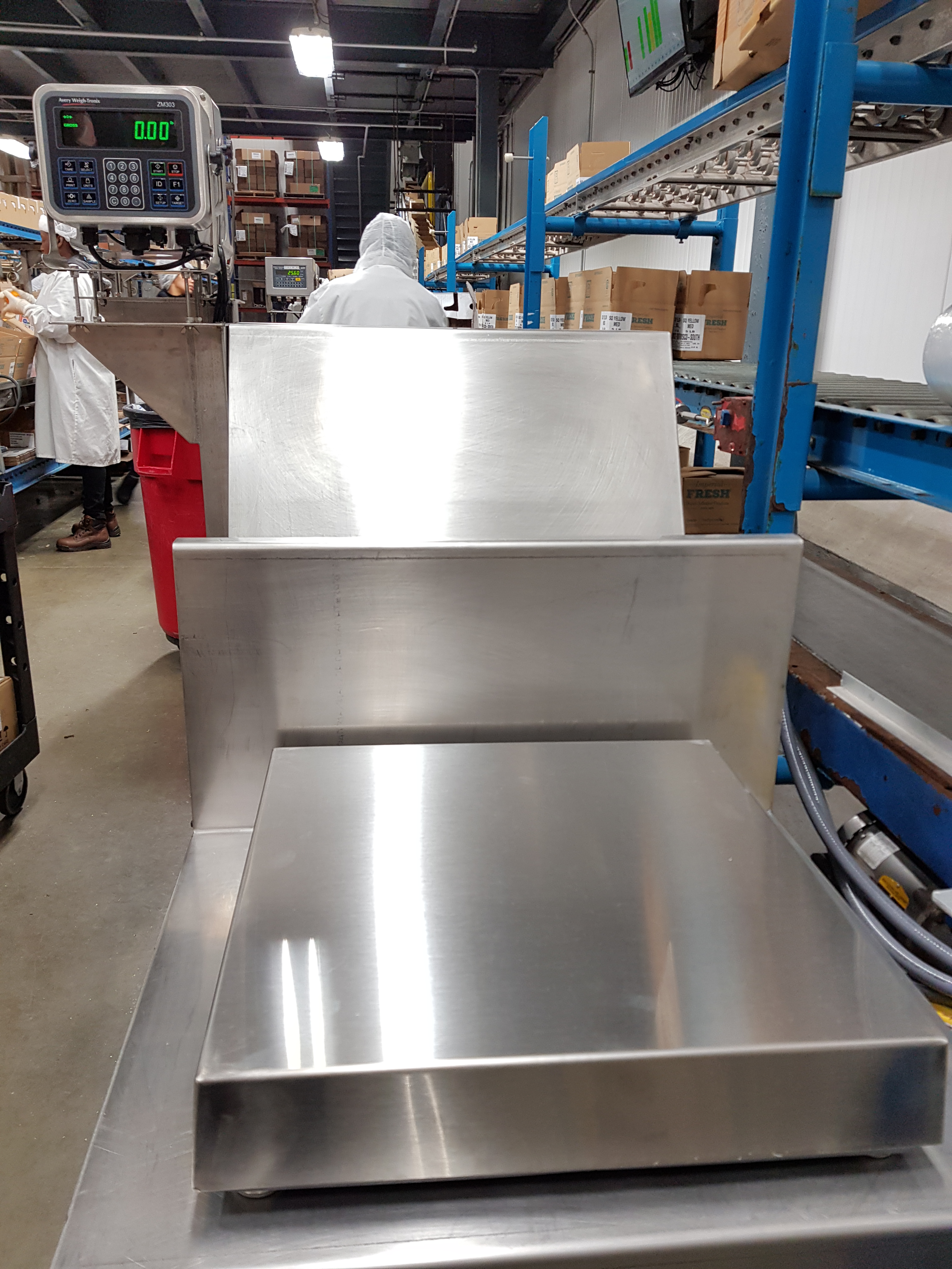 Avery Weigh tronix ZM 303 scale been used in a food processing envitoment